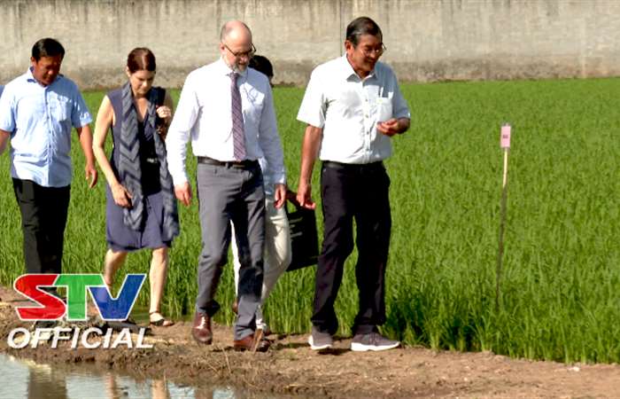 Đại sứ Canada tại Việt Nam thăm Hợp tác xã Nông nghiệp Evergrowth và Trại thực nghiệm giống của kỹ sư Hồ Quang Cua