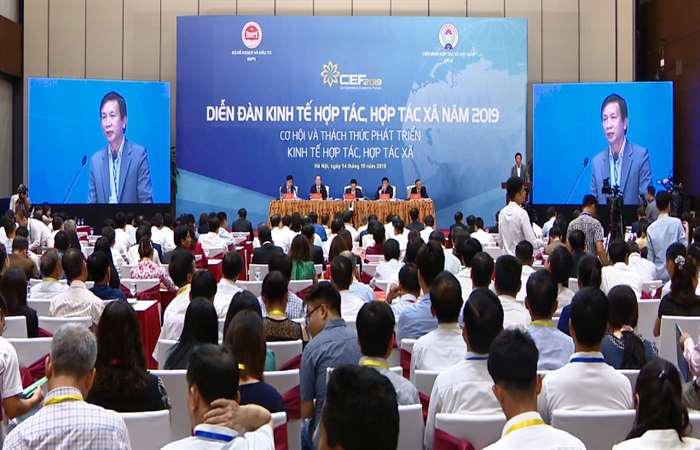 Diễn đàn kinh tế hợp tác 2019