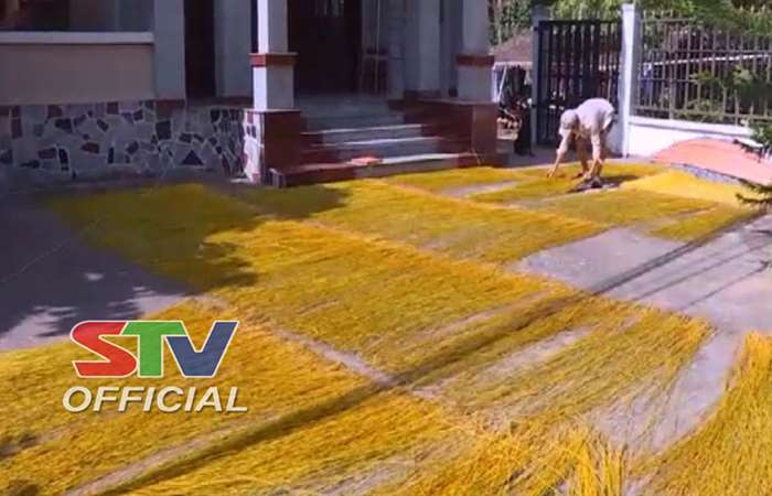 Động lực mới cho làng nghề dệt chiếu Cà Hom