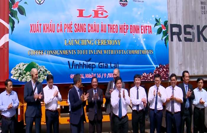 Gia Lai xuất khẩu lô cà phê đầu tiên sang Châu Âu