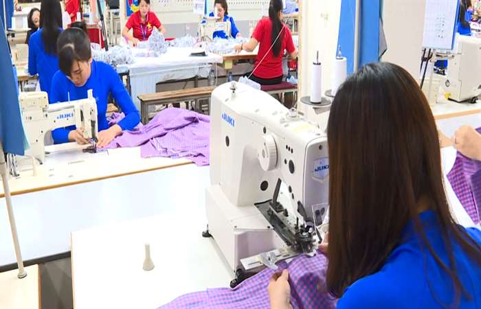 Kinh tế Việt Nam có thể tăng trưởng 2,4% trong năm 2020