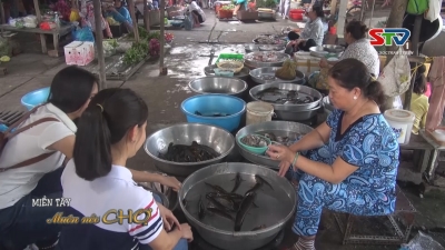 Miền tây muôn nẻo chợ -  Lưu luyến chợ quê Ba Rinh 15-06-2016