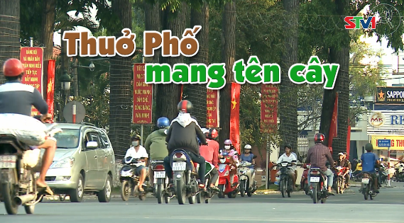 Nét Việt - Thưở thành phố mang tên cây 22-12-2016