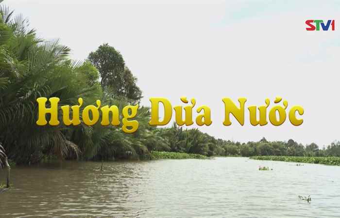 Nét Việt - Hương Dừa Nước 31-12-2017
