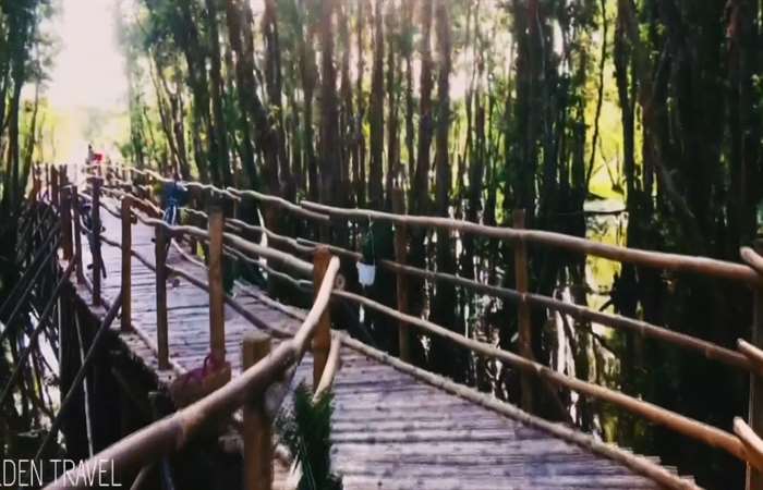 Rừng tràm Trà Sư đón nhận 2 kỷ lục mới