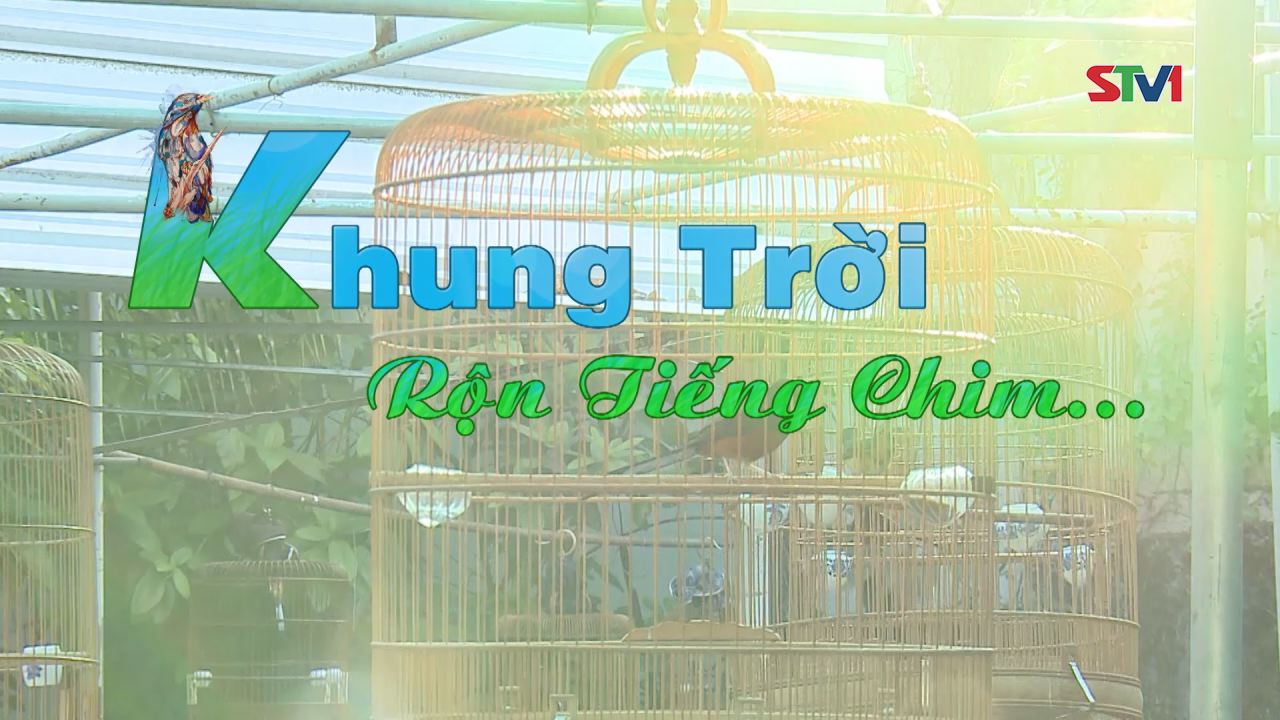 Nét Việt - Khung Trời Rộn Tiếng Chim 01-01-2017