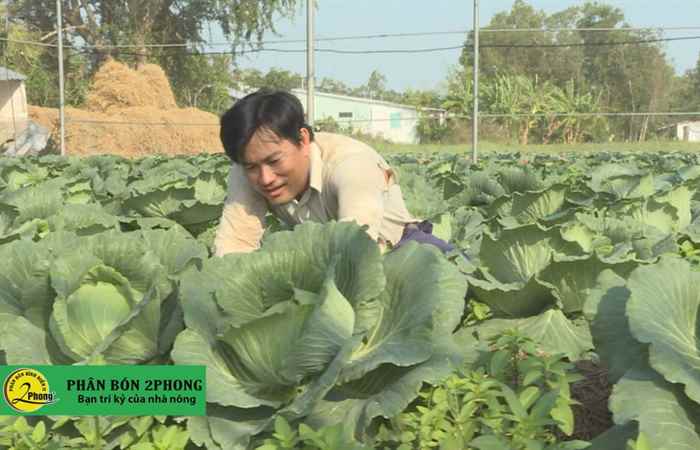 Thạnh Trị: Cơ cấu lại nông nghiệp 