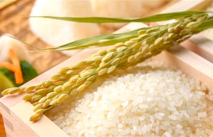 Thái Lan trên đà trở thành nước xuất khẩu gạo lớn thứ hai Thế giới