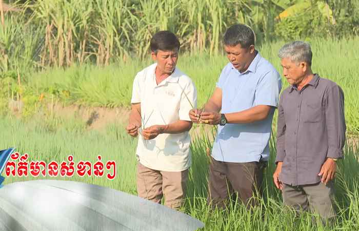 Trợ lực Nhà nông - Tiếng Khmer (10-04-2024)