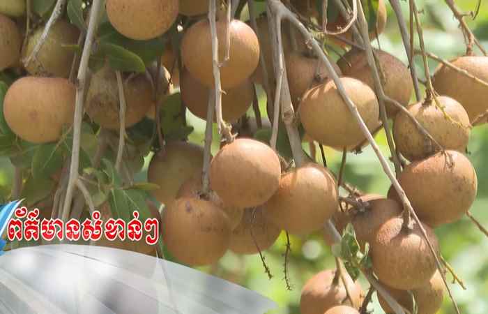Trợ lực Nhà nông - Tiếng Khmer (10-08-2022)