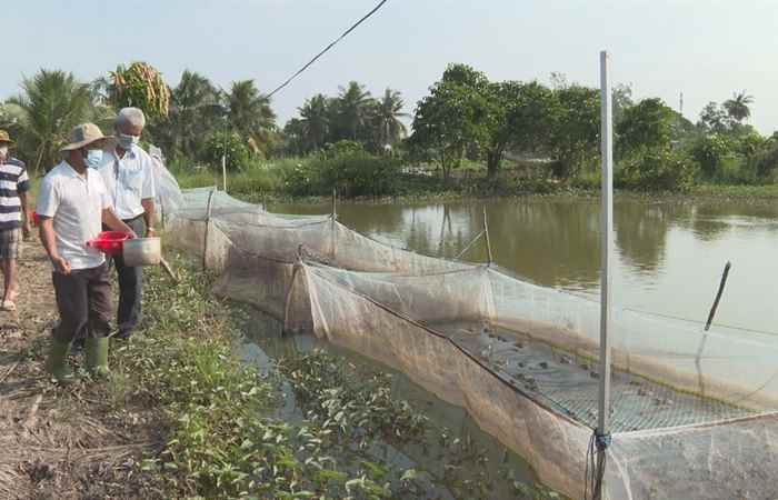 Trợ lực Nhà nông tiếng Khmer (15-12-2021)
