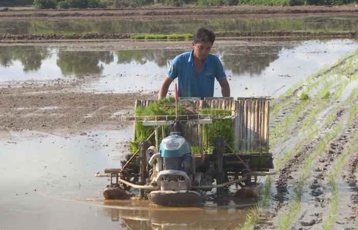 Trợ lực Nhà nông tiếng Khmer (19-08-2020)