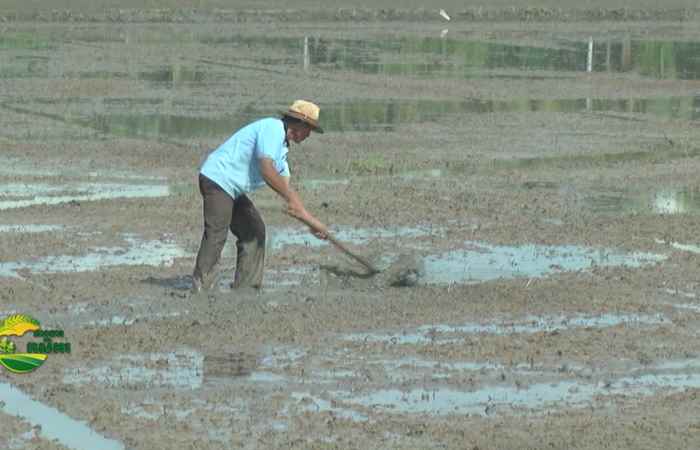 Trợ lực Nhà nông tiếng Khmer (20-04-2022)