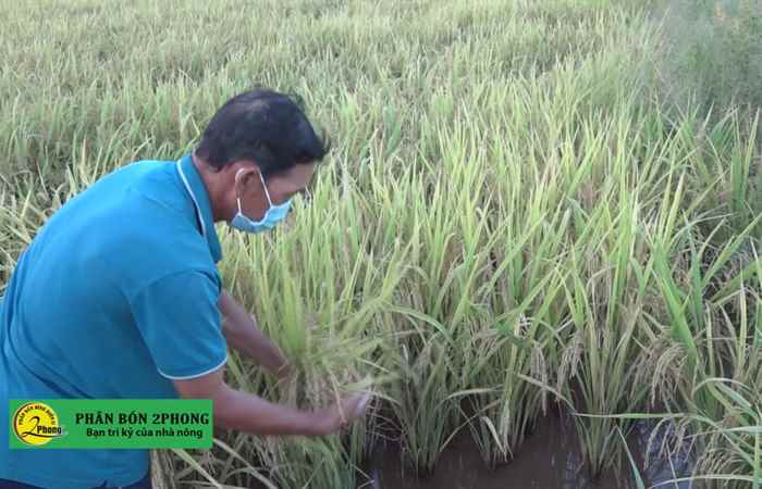 Trợ lực Nhà nông tiếng Khmer (29-09-2021)