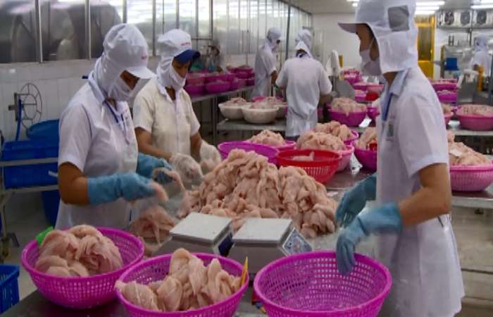 Việt Nam đủ điều kiện xuất khẩu sản phẩm cá và cá da trơn sang Hoa Kỳ