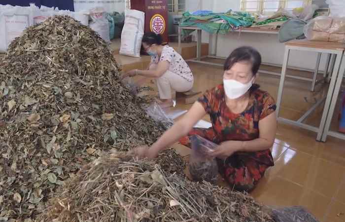 Bản tin STV NEWS (13-11-2021)