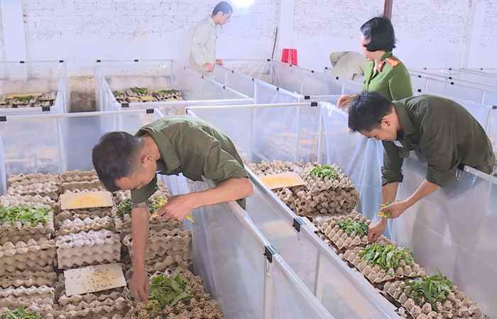 Bản tin STV NEWS (28-06-2025)