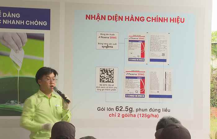 Cánh đồng hội nhập (20-12-2024)