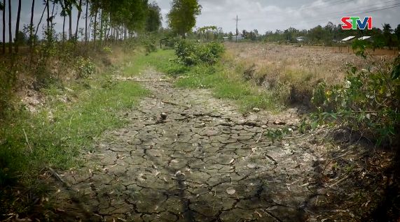 Phóng sự - Canh tác lúa an toàn trong điều kiện hạn mặn 08-07-2016