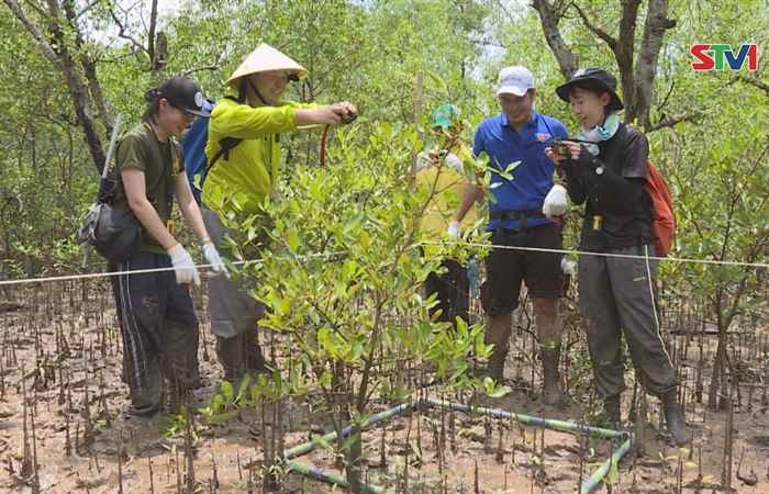 Chung tay bảo vệ môi trường biển