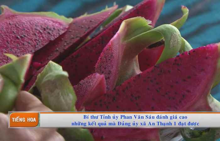 Chương trình tiếng Hoa 03-06-2019