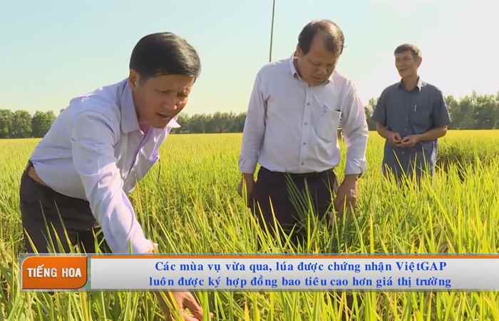 Chương trình tiếng Hoa (22-07-2019)