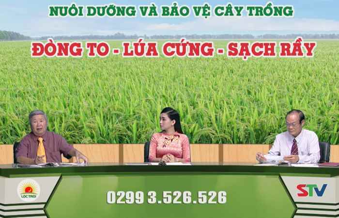 Chương trình tọa đàm 06-07-2017