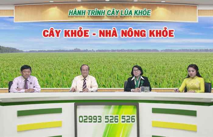 Chương trình tọa đàm - Cây khỏe, nhà nông khỏe (21-01-2021)