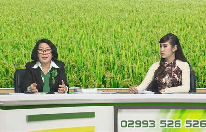Chương trình tọa đàm Đầu vụ trúng mùa vàng 09-10-2018