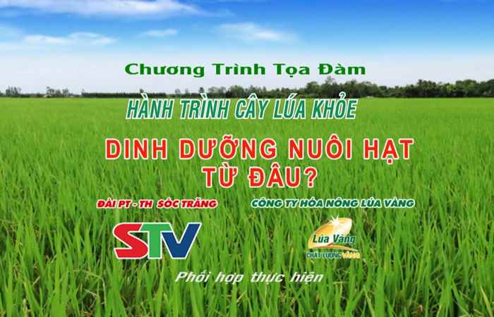 Chương trình tọa đàm "Dinh dưỡng nuôi hạt từ đâu" (23-07-2019)