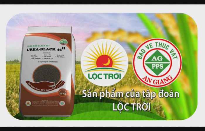 Chương trình tọa đàm Đòng to chắc hạt 10-01-2019