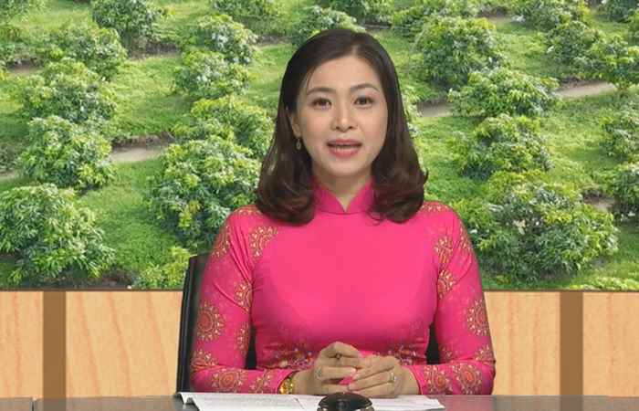 Chương trình tọa đàm Dưỡng hoa tăng đậu trái 20-09-2018