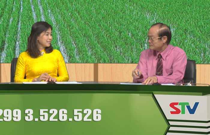 Chương trình tọa đàm Nảy chồi mạnh cứng cây 04-10-2018
