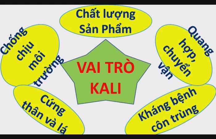 Chương trình tọa đàm Nuôi dưỡng và Bảo vệ cây trồng - Hạt đầy sáng chắc 14-02-2019