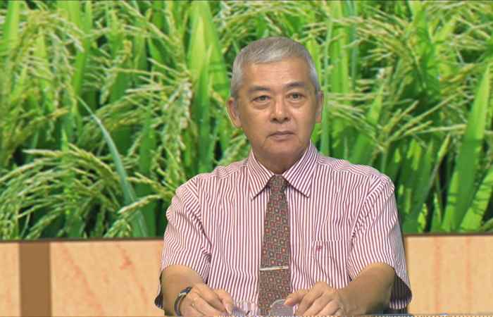 Chương trình tọa đàm Pexena 106SC giải pháp mới quản lý rầy nâu 13-12-2018