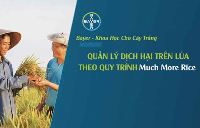 Chương trình tọa đàm - Quản lý dịch hại trên lúa theo quy trình Much More Rice 19-09-2019