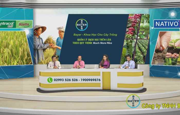 Chương trình tọa đàm - Quản lý dịch hại trên lúa theo quy trình Much More Rice (24-09-2020)