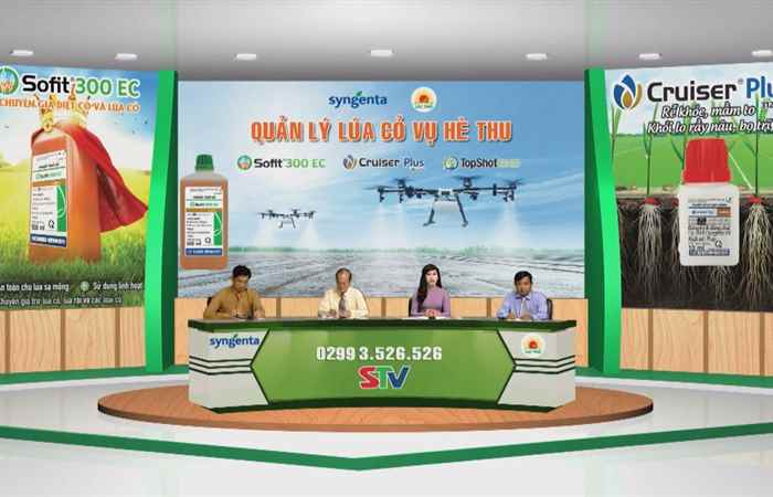  Quản lý lúa cỏ vụ hè thu (13-05-2021)