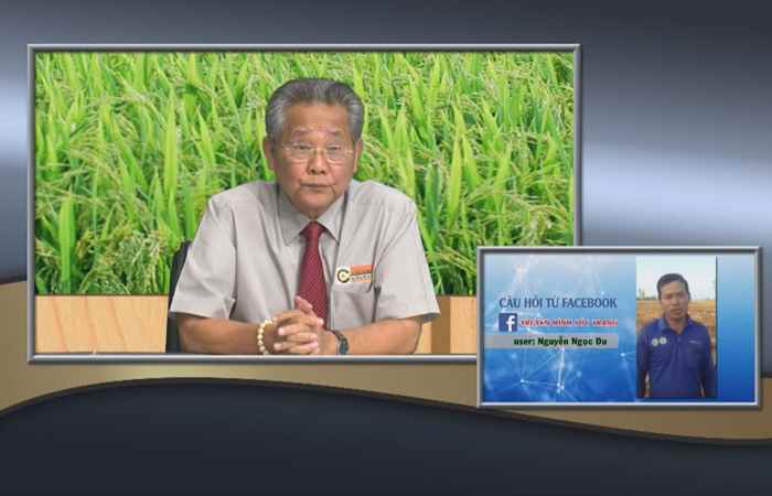 Chương trình tọa đàm Quản lý tính kháng của rầy nâu 27-02-2019