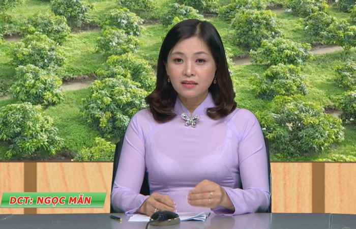 Chương trình tọa đàm Sáng bông bóng trái 06-09-2018