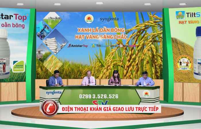 Chương trình tọa đàm - Xanh lá oằn bông Hạt vàng sáng chắc (11-03-2021)