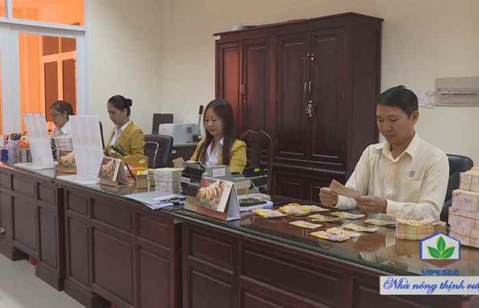 Doanh nghiệp tiêu biểu trong tỉnh Sóc Trăng