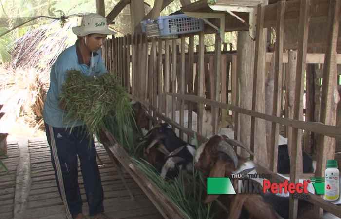 Gương điển hình tiên tiến 12-12-2017