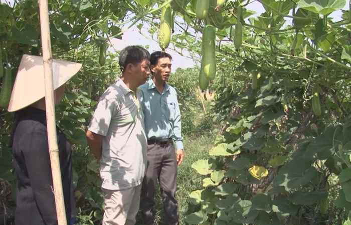 Nông dân Lương Văn Lâm tập hợp nông dân liên kết trong sản xuất 06-05-2018