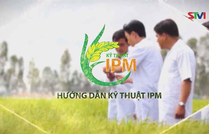 Hướng dẫn kỹ thuật IPM 02-05-2017