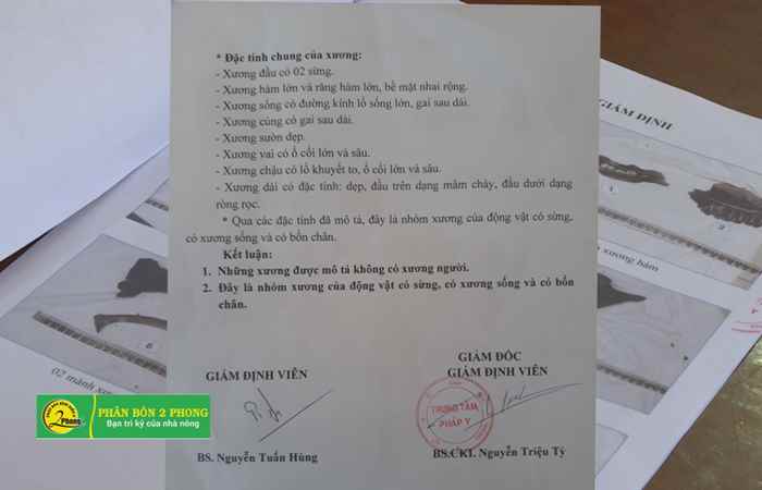 Kết luận về các mẫu xương tại công trình thi công ở phường 3, TP. Sóc Trăng 