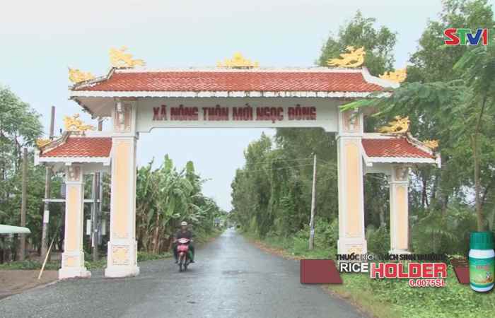 Khởi sắc những vùng quê nông thôn mới  