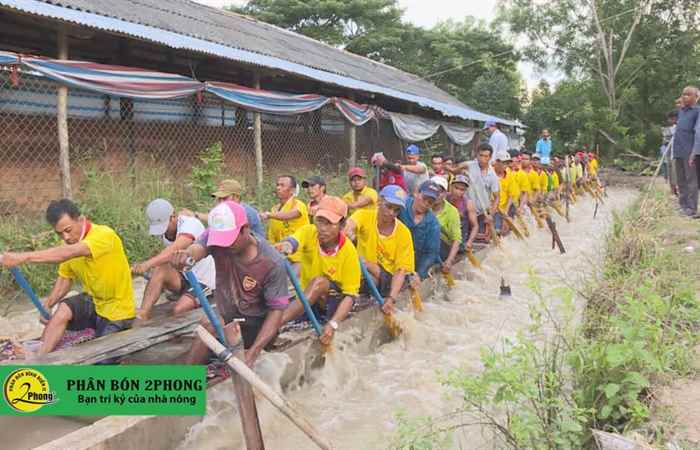 Người dân Phú Mỹ với nềm đam mê ghe ngo (02-11-2019)
