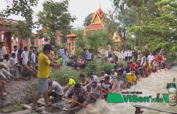 Lễ hội Óoc Om Bóc Đua Ghe Ngo Sóc Trăng - Đội ghe chùa Tứk Prăy huyện Long Phú nô nức chuẩn bị lễ hội Ooc Om Boc 07-09-2017