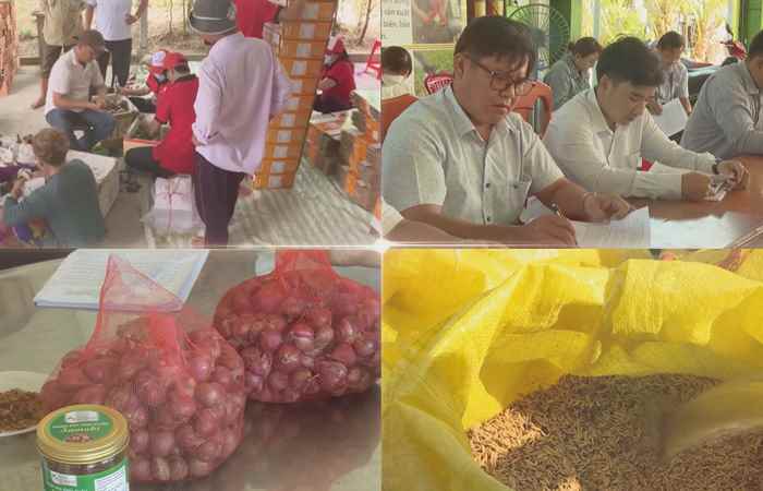 Liên minh Hợp tác xã tỉnh Sóc Trăng - Ba thập kỷ đồng hành cùng khu vực kinh tế tập thể, HTX (28-05-2024)